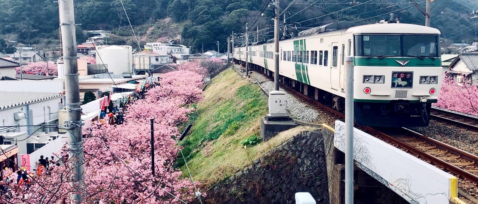 Sakura House Furnished Guest Houses Apartments Share Houses