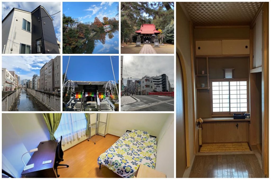 newrice sakura tree house