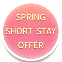 2023 Spring Special Offer